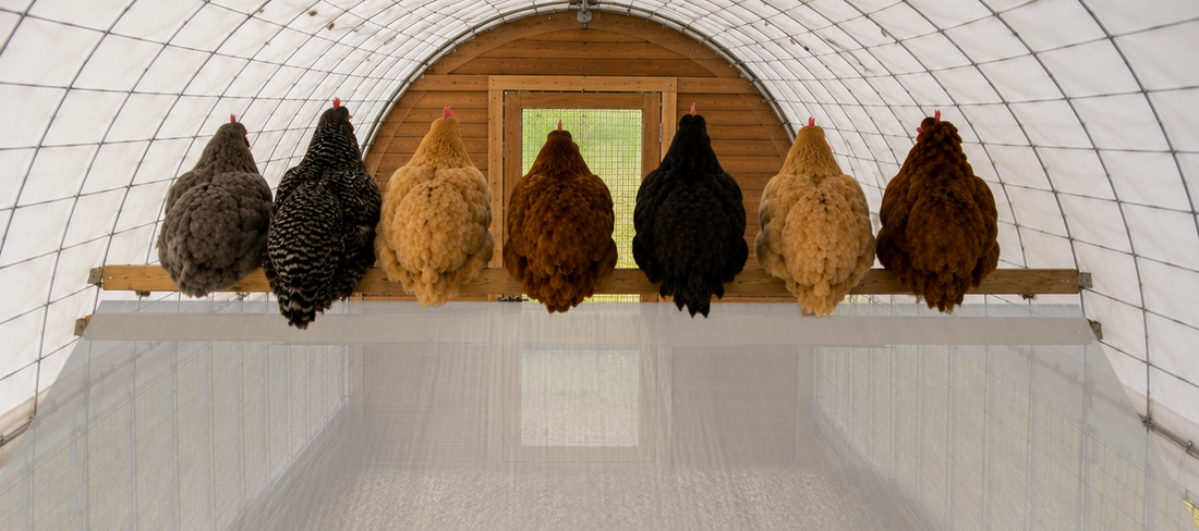 The Self-Cleaning Compo-Roost
