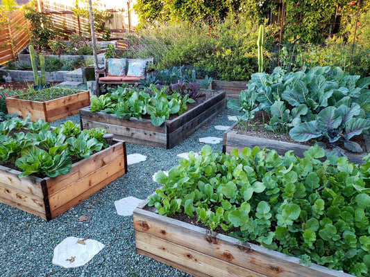 The Raised Garden Bed System