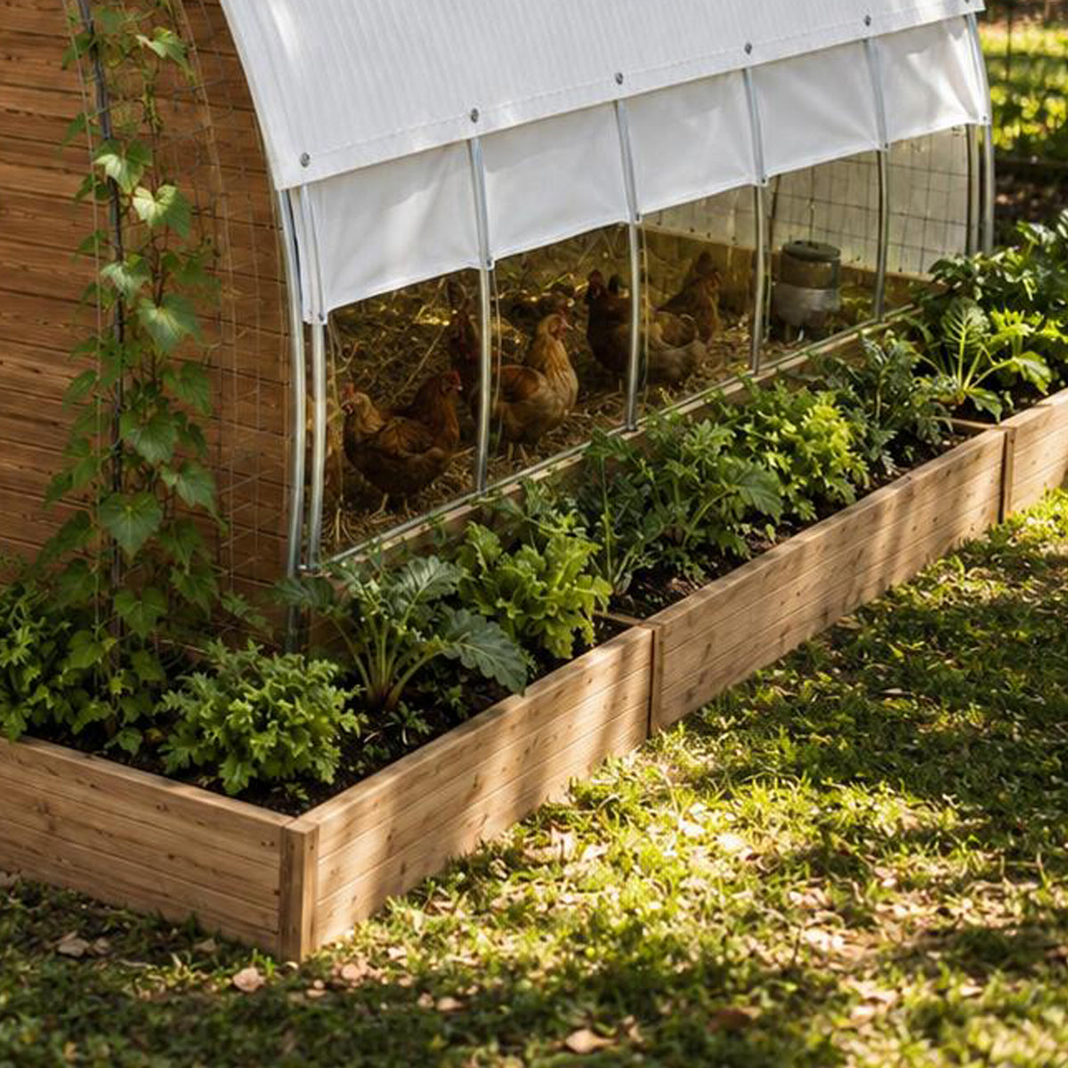 Gothic Arch Hoop Coop System