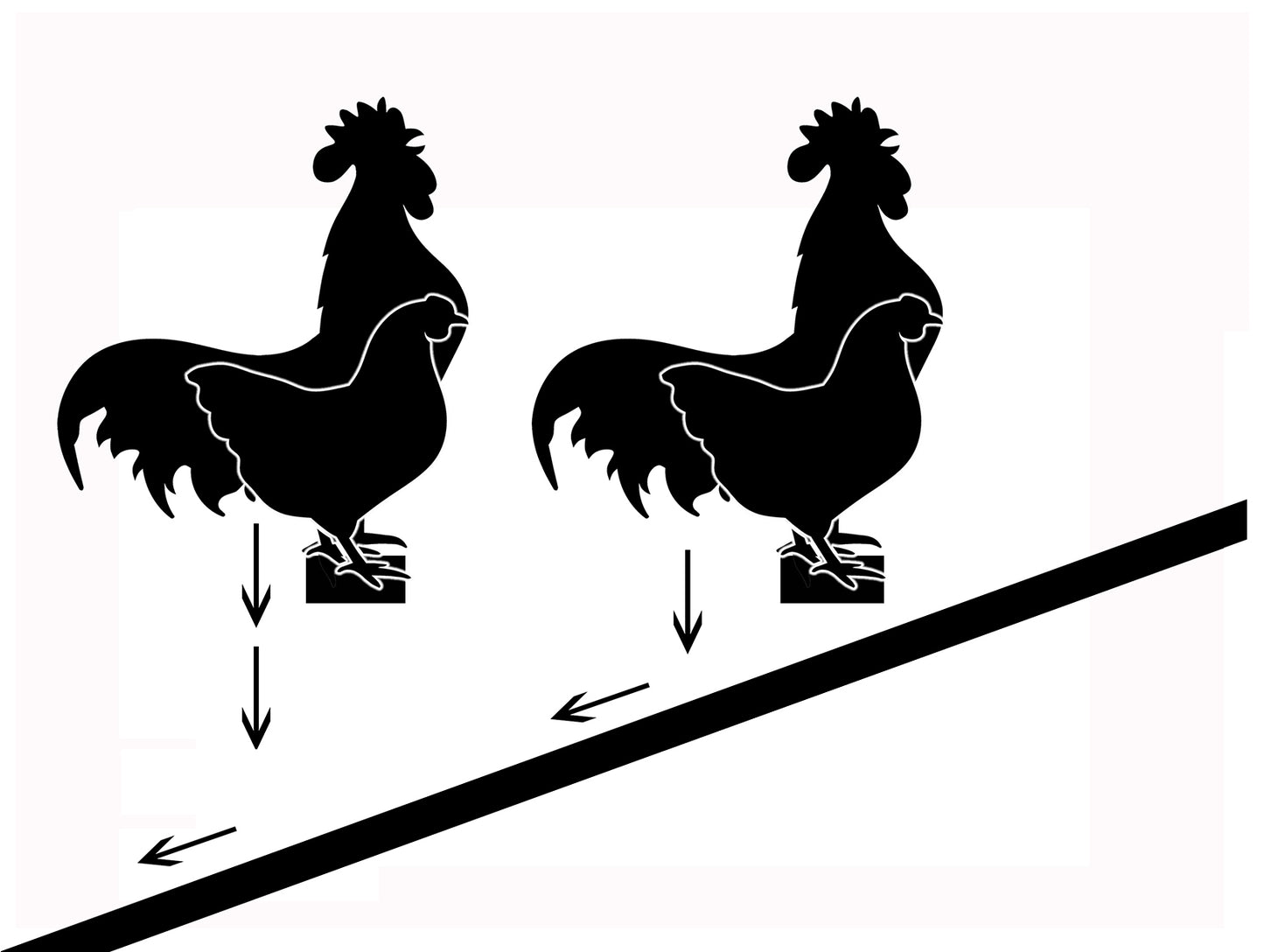 Tilt ’N Slide™  - Insta-Clean Compo-Roost